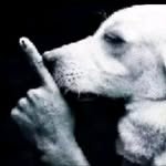 so_hssh 인스타그램 프로필 사진