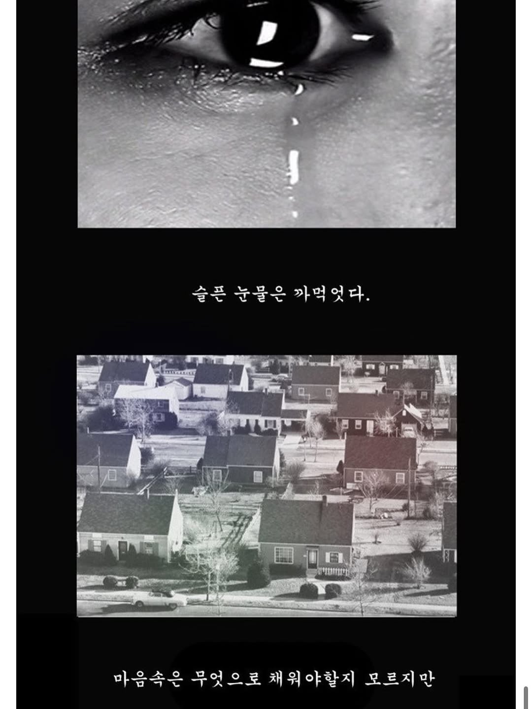 Photo by 소현섭 on June 02, 2025.