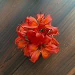 m.i.n.a.r.y.home 프로필 사진