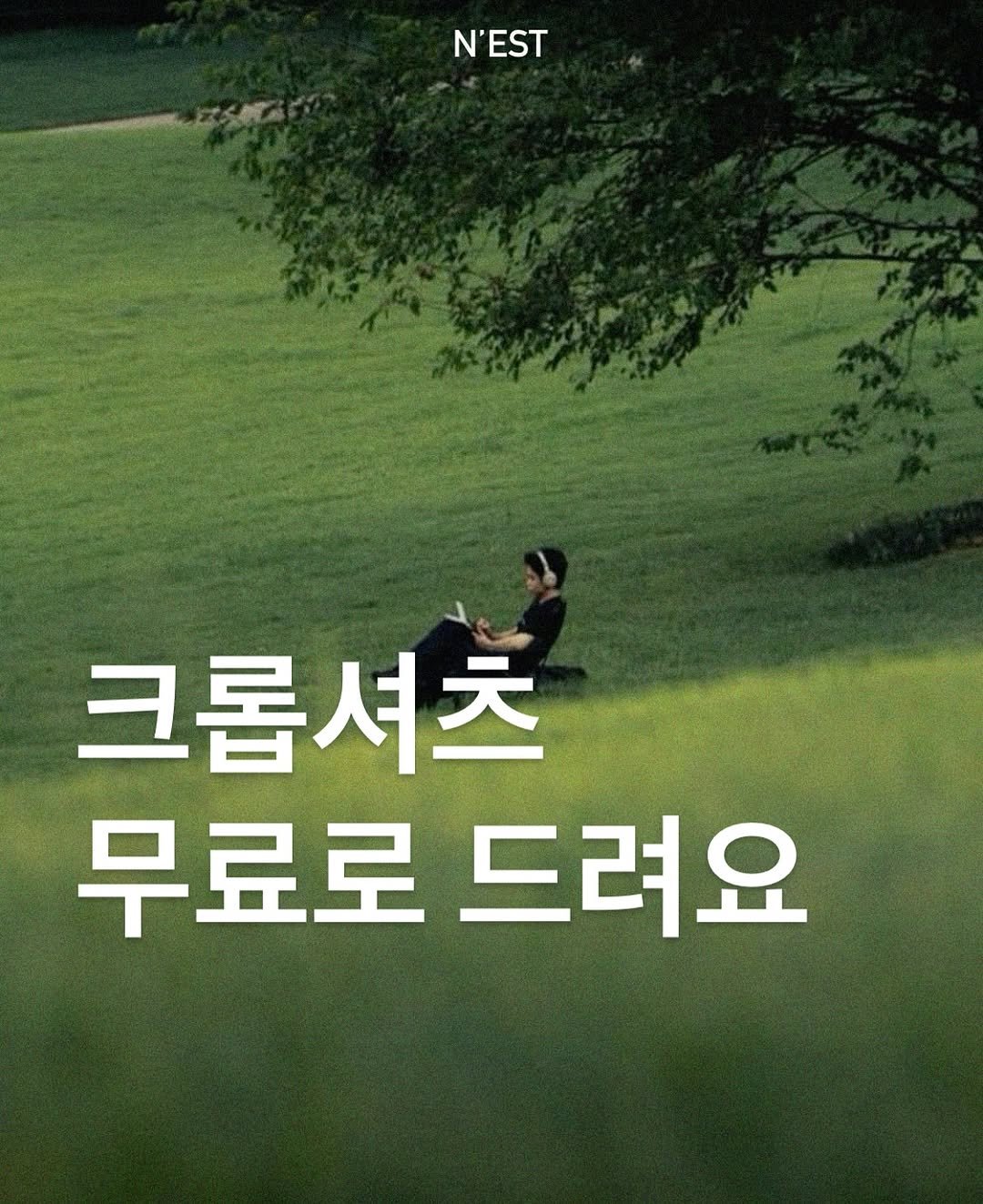 Photo by Chan / N’EST 네스트 on August 12, 2025. May be an image of 1 person, nest, book, poster and text that says 'N'EST 크롭셔츠 무료로드려요 무료로 드려요'.