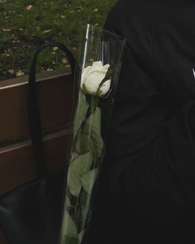 soft.leaves_ 게시물 이미지: 🌿🌳🌱🐱🌊📚