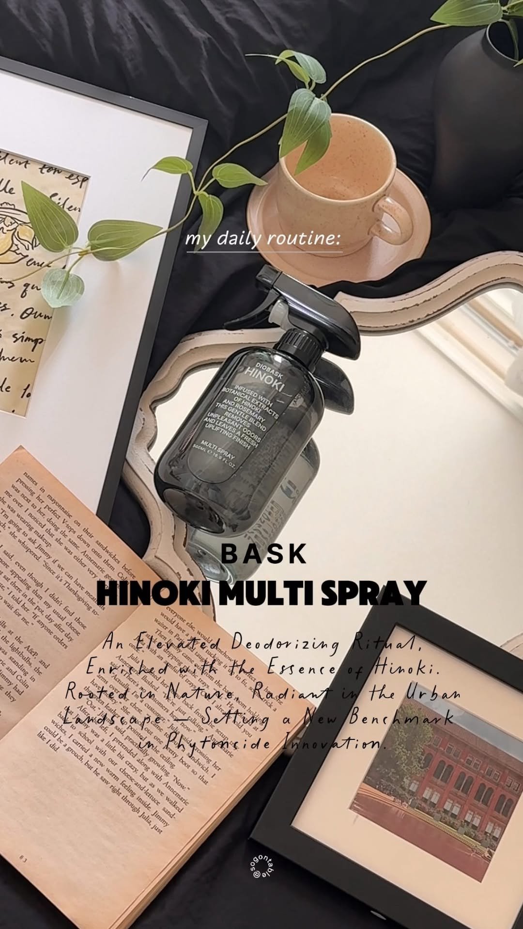 sogontable 게시물 이미지: #광고 ㅣ 숲속의 향기 🌲

개운하게 기지개를 펴고 시작하는 아침 ☀️

‘향기...