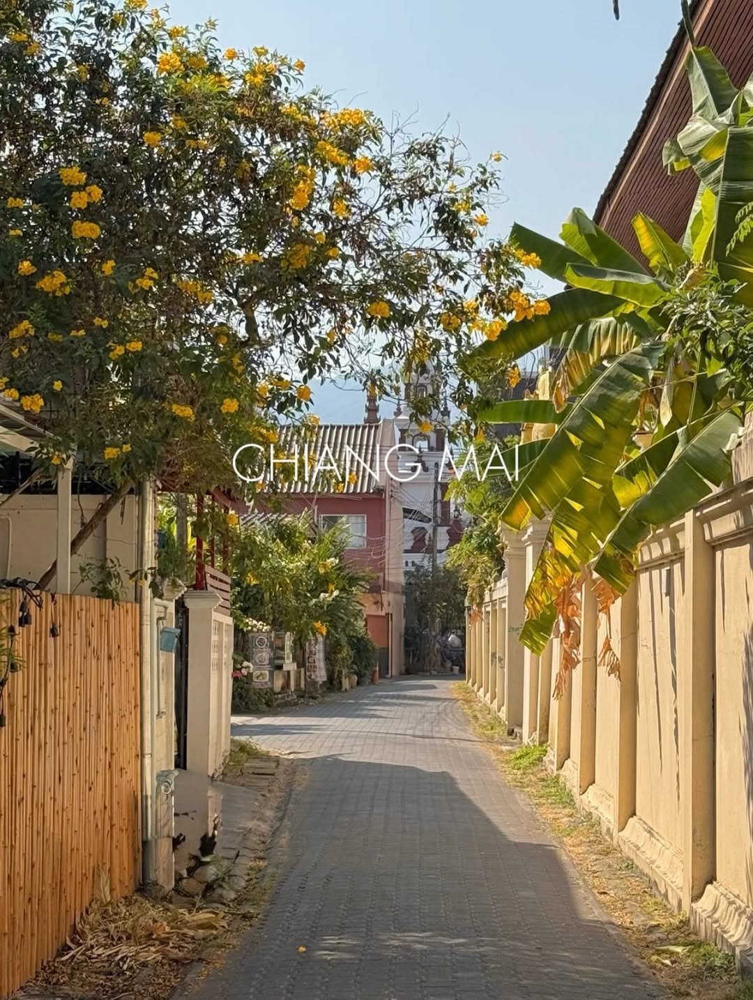 Photo by 소곤, 소곤테이블, 홈카페, 홈스타일링, 집꾸미기 on February 17, 2026. May be an image of street and text.