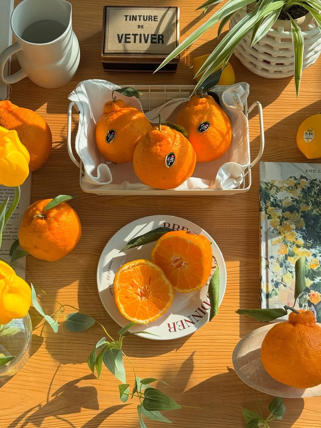 Photo shared by 소곤, 소곤테이블, 홈카페, 홈스타일링, 집꾸미기 on February 16, 2026 tagging @gwasodam. May be an image of mandarin, grapefruit, tablecloth and text.