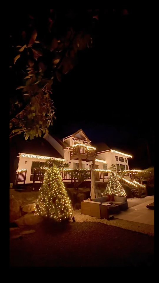 sohee_anamom 게시물 이미지: ANA HILLS  christmas 완성 💚
.
가장 좋아하는 영화 "나홀로 집에...