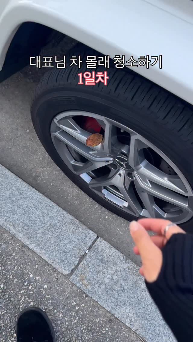 solguest_official 게시물 이미지: 대표님 몰래 차 청소해드리기...
