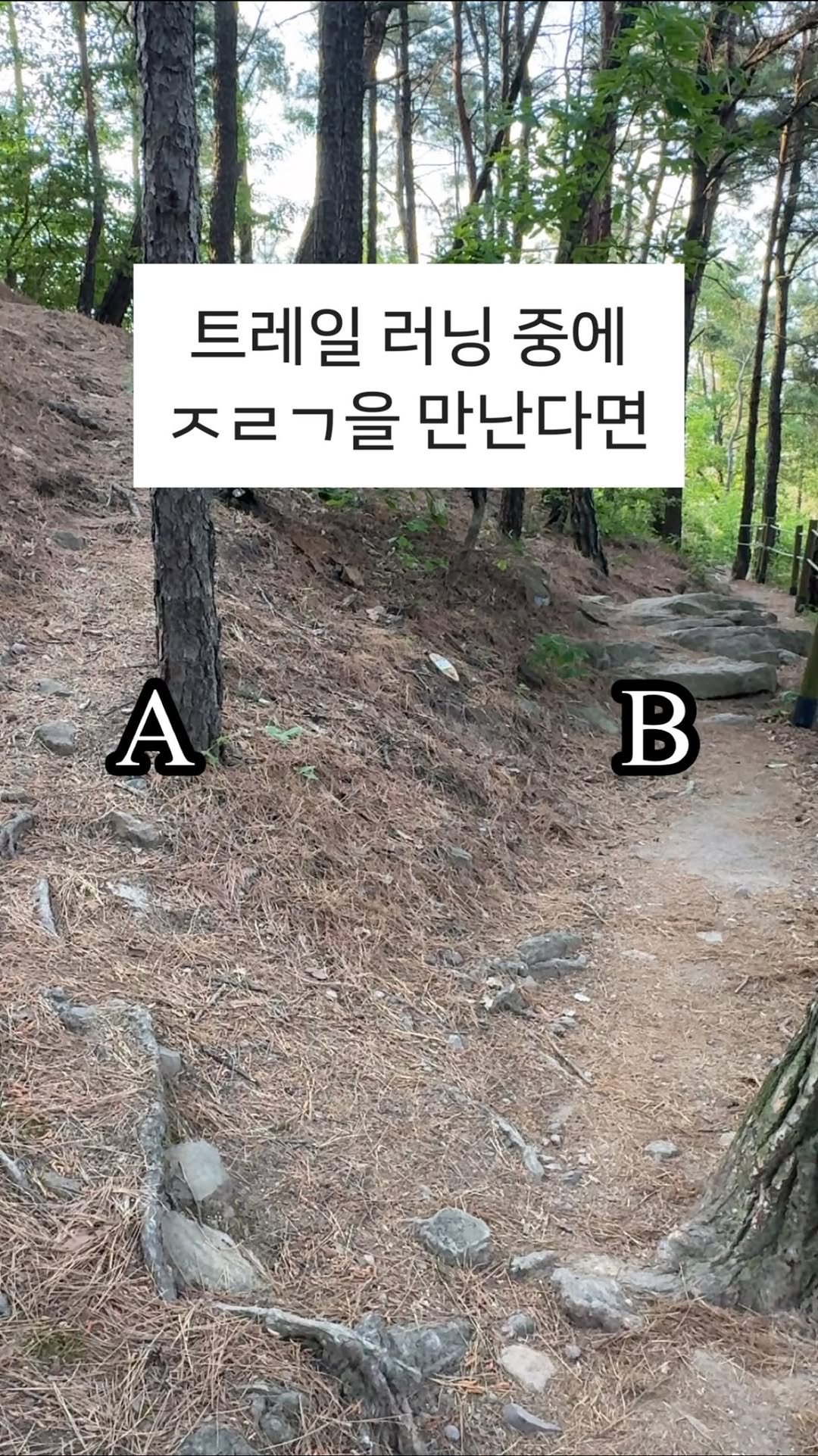 somc______ 게시물 이미지: 맞춰보세요✅

트린이들을 길 잃게 만드는
주요 원인이기도...