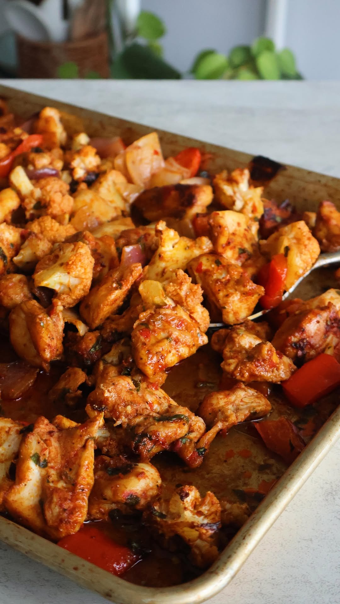 somethingnutritious 게시물 이미지: harissa chicken & veggie sheet pan 

a...