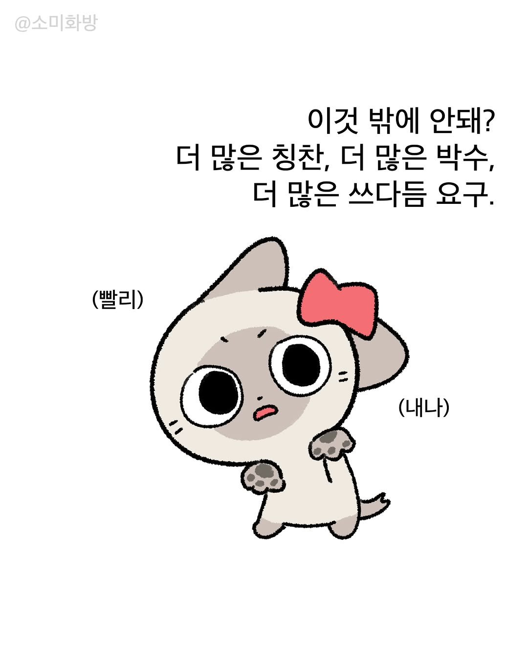 somi_hwabang 게시물 이미지: 칭찬해죠😾😾😾😾

😼샴고양이 소미
😾하얀고양이 피니

#소미화방#짤