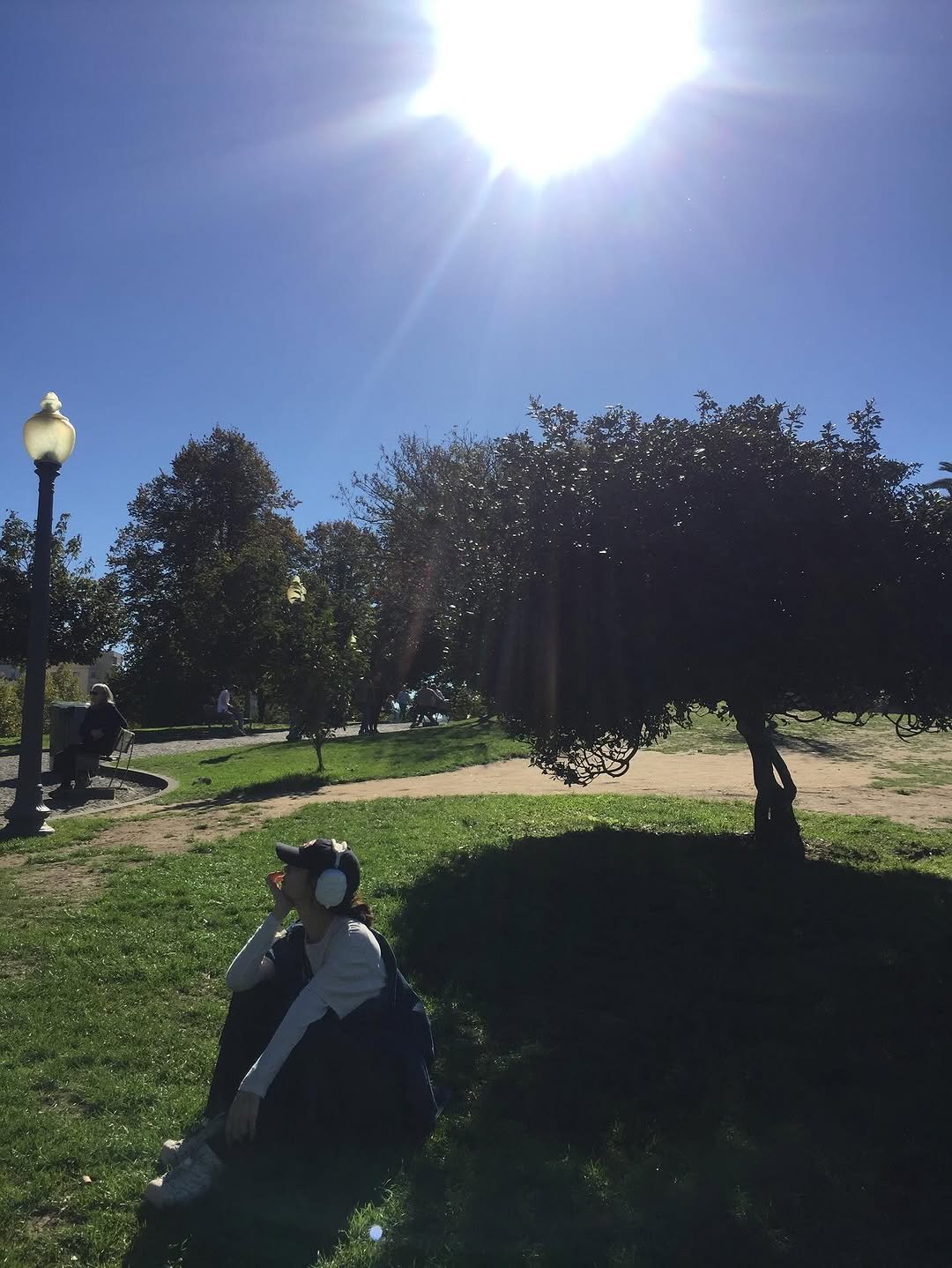 Photo by 정소민 on November 04, 2025. May be an image of grass, park, lamppost and text.