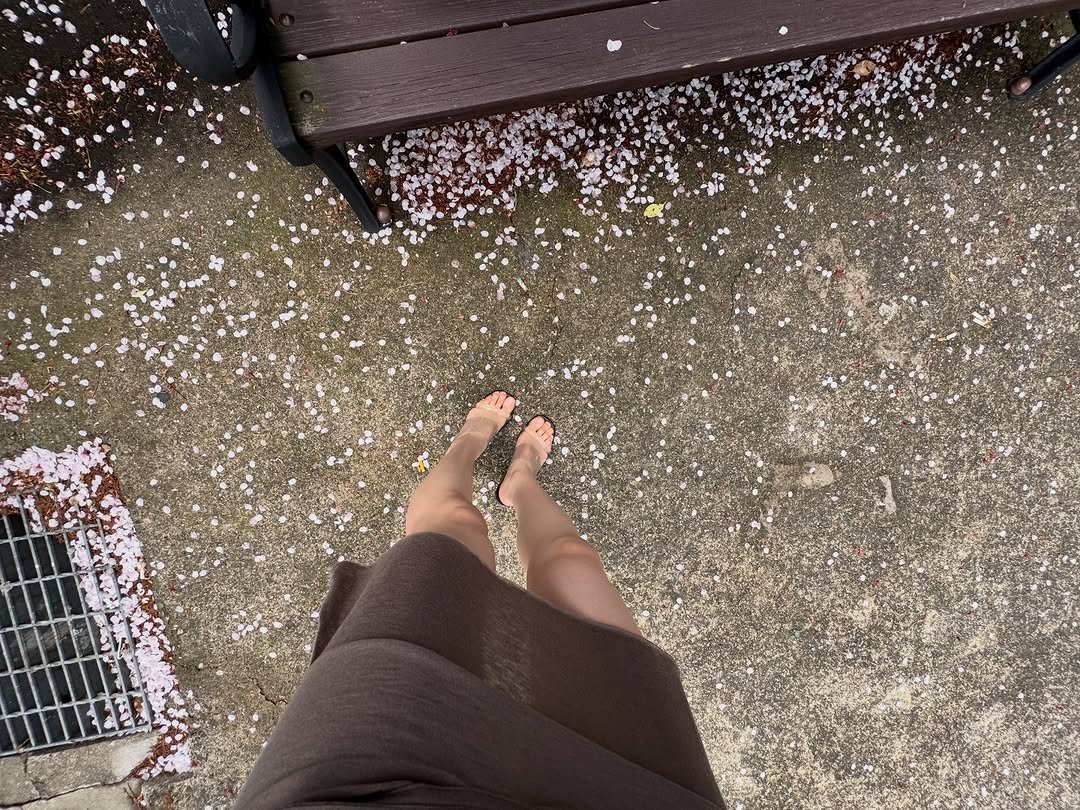 sonabeenee 게시물 이미지: 봄 춤.
꽃잎이 떨어질 때