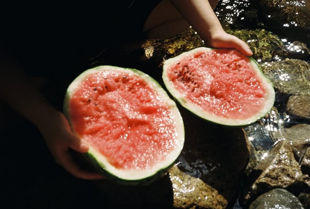 Photo by 송건희 on November 21, 2024.