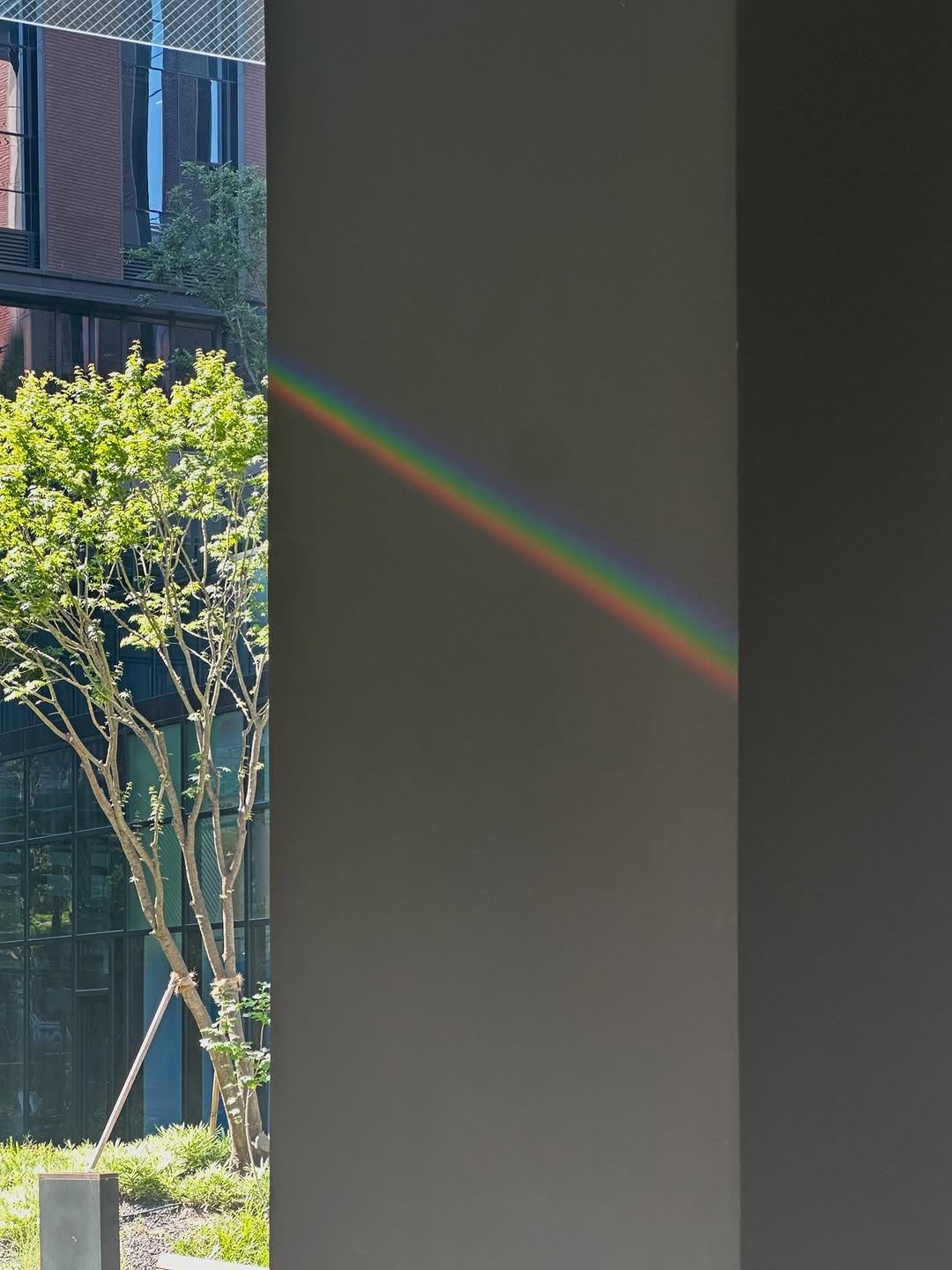 Photo by 송건희 on August 14, 2025.