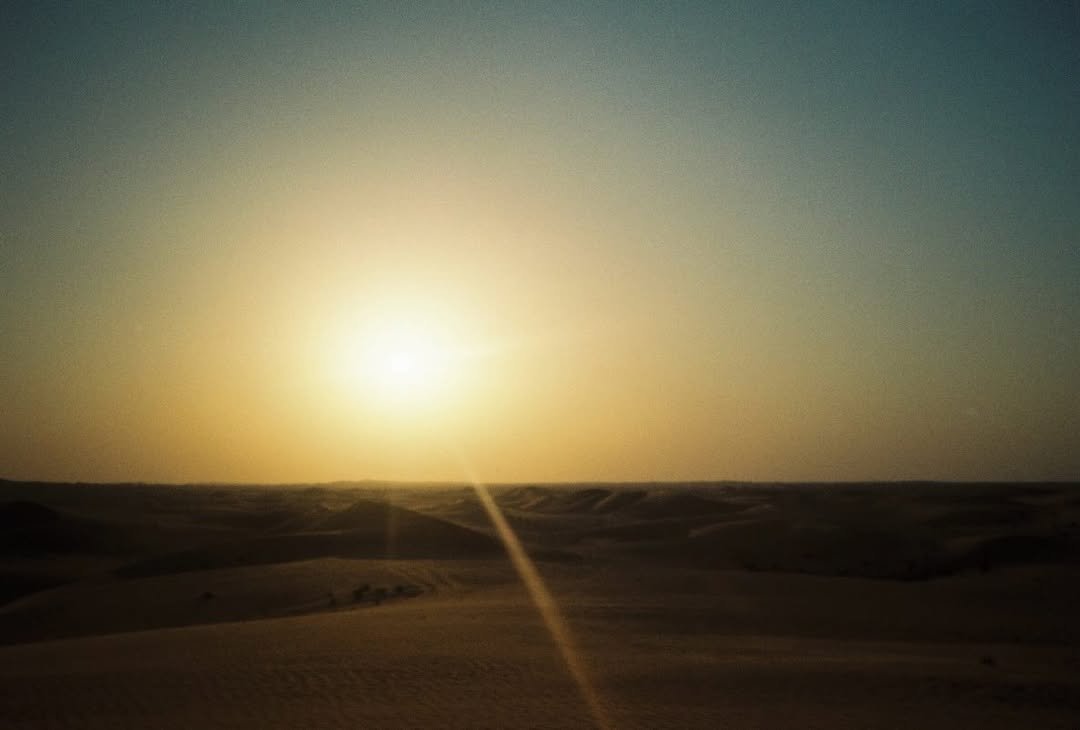 Photo by 송건희 on November 21, 2024.