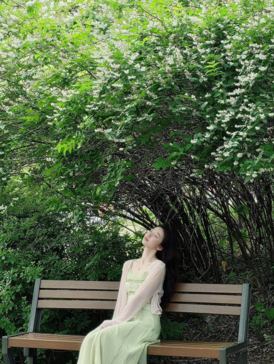 songja0u0 게시물 이미지: 숲에 살까봐,,,🍃