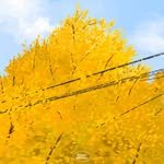 wise_studio_ 프로필 사진