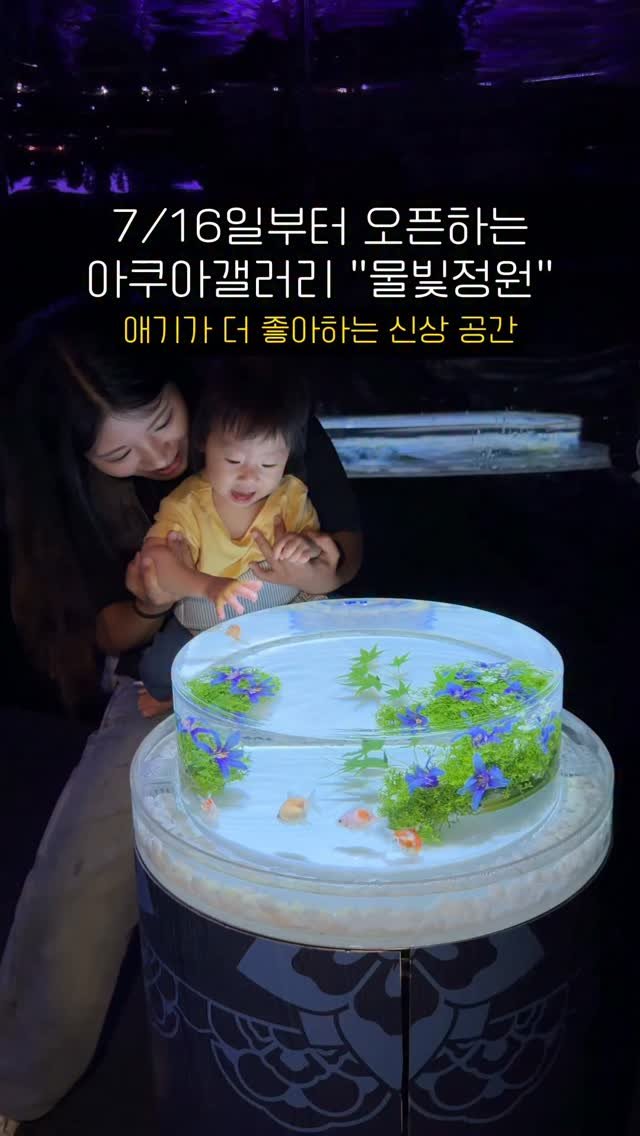 songpa99 게시물 이미지: 애기랑 가기 좋은 신상 스팟🐟✨

롯데월드 아쿠아리움에
새롭게 오픈한 ’아쿠아...