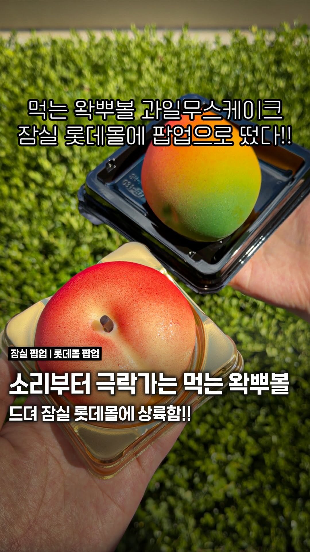 songpa99 게시물 이미지: 잠실 가는 사람들 여기 저장해둬야 함😳

지금 롯데월드몰에
떼구르르 베이커리 팝업이...