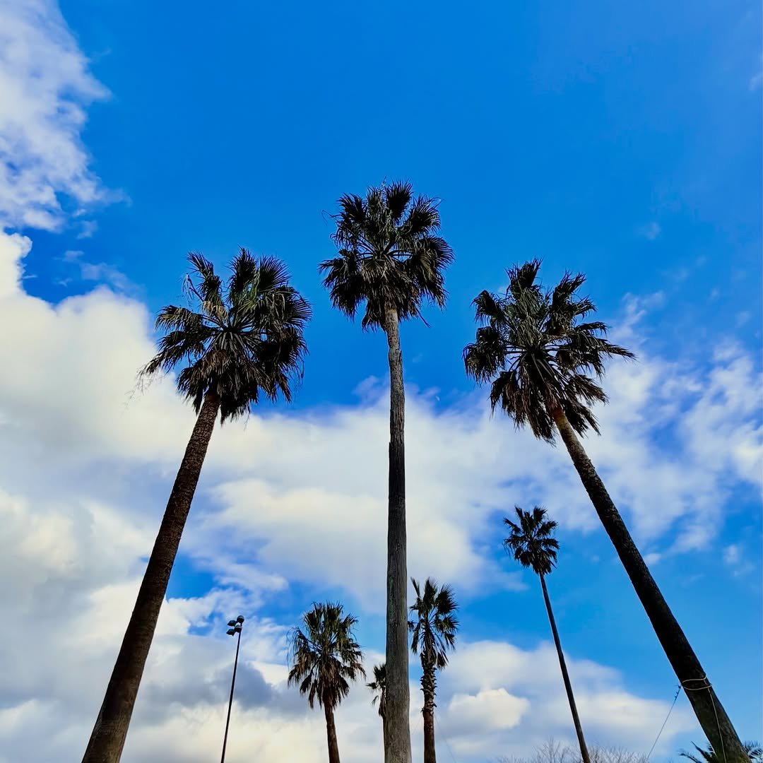 Photo by 송승헌 songseungheon on December 28, 2025.