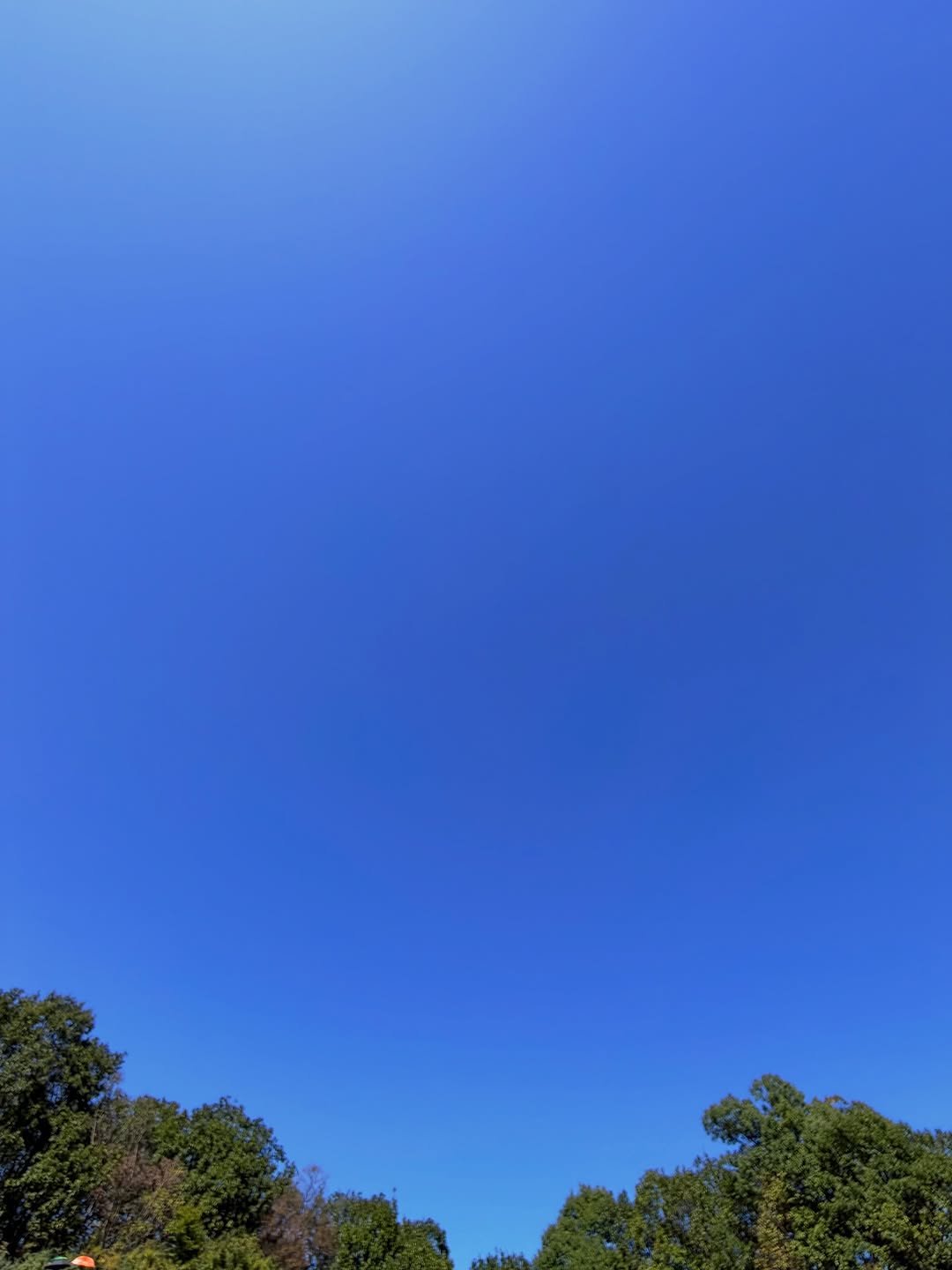 Photo by 송승헌 songseungheon on October 08, 2025.