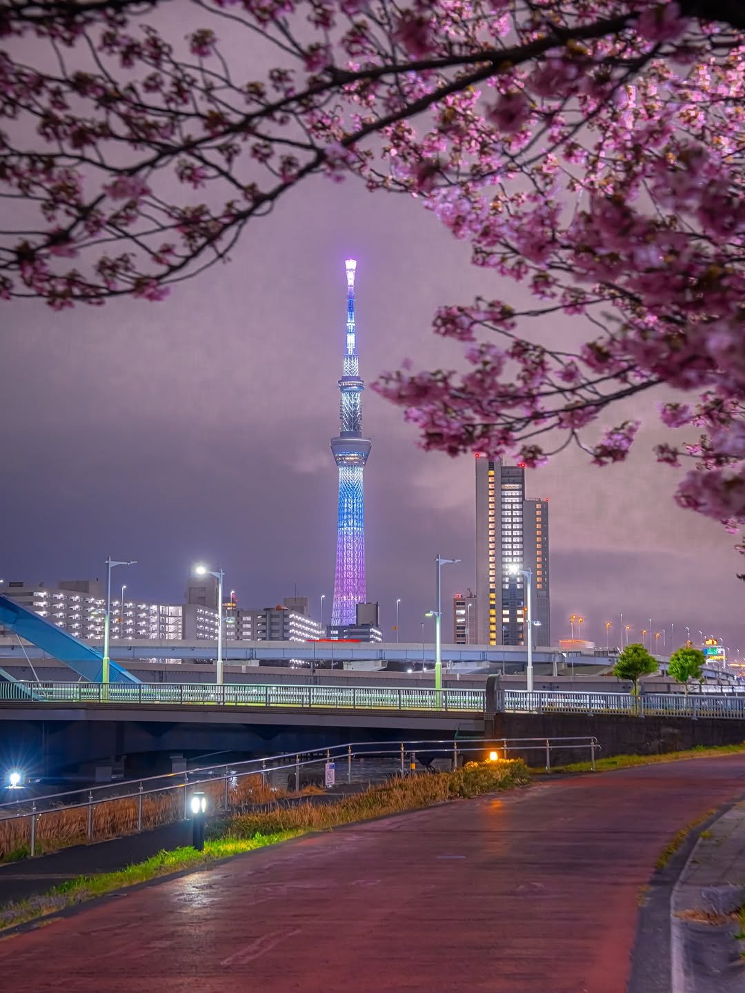 Photo by Soni's tokyo life on March 25, 2026. May be an image of Tokyo Tower and text.