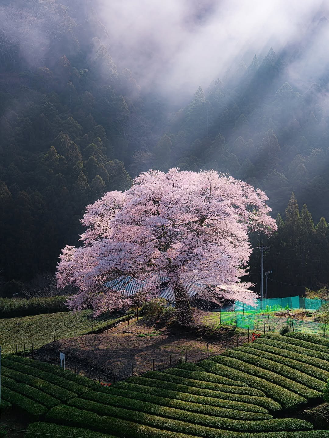 Photo by Soni's tokyo life in Shizuoka City, Japan. May be an image of text.