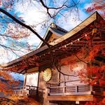 soni_tokyo 인스타그램 프로필 사진