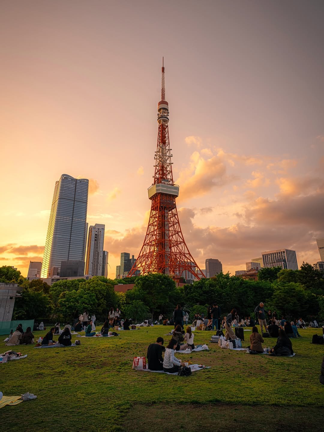soni_tokyo 게시물 이미지: 🗼도쿄를 간다면 반드시 가야할 곳. 도쿄타워가 한눈에 보이는 잔디밭 [프린스...