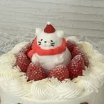 melvet_._ 프로필 사진