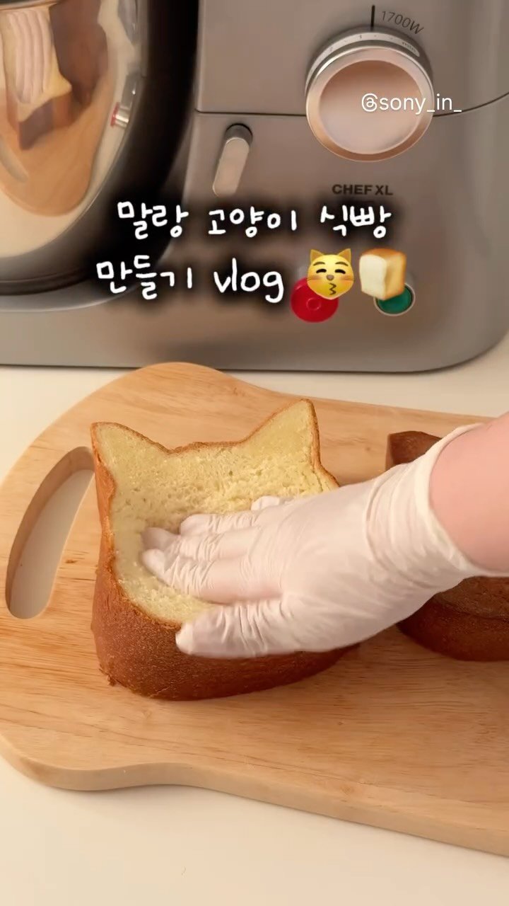 sony_in_ 게시물 이미지: 😽말랑〰️부들 고양이 식빵 만들기 vlog🧡
👩🏻🍳자세한 레시피는 캡션 하단에...
