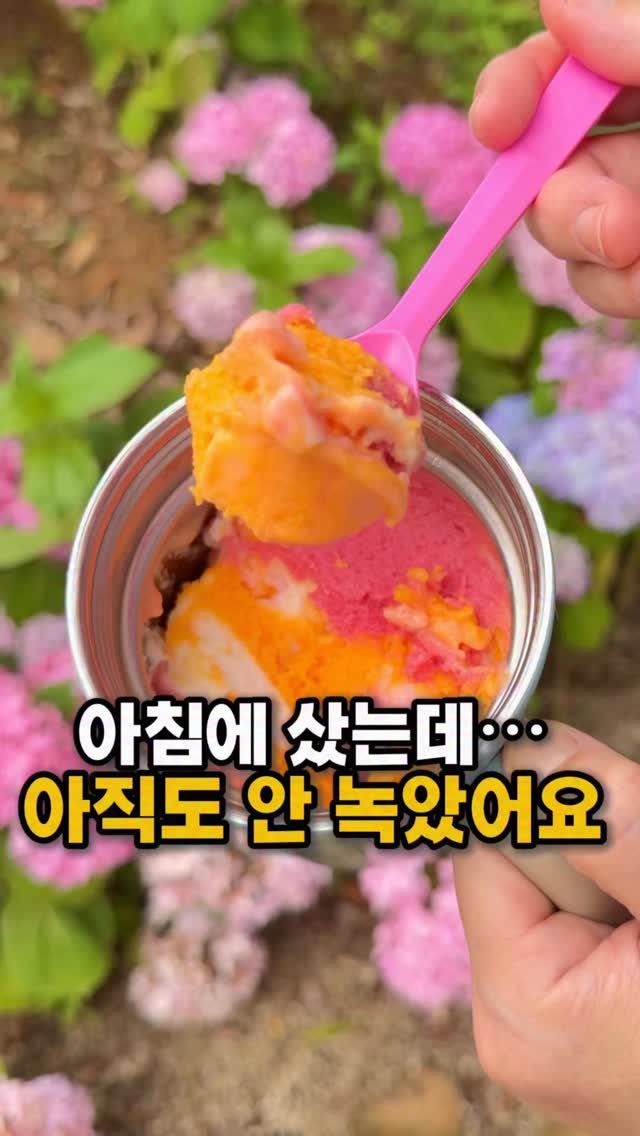soojine_jipbab 게시물 이미지: #알림댓글 남겨주시면 🤍
오픈 시 디엠으로 링크 보내드릴게요

1차 때 구매하신...