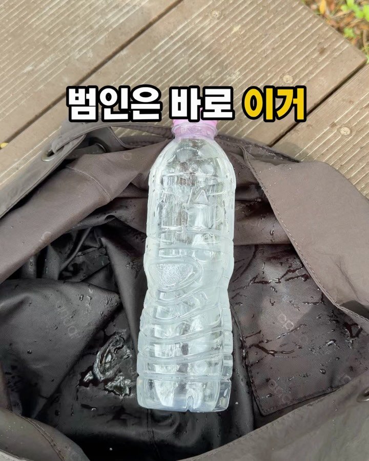 soojine_jipbab 게시물 이미지: 💦 쎄한 느낌에…

가방 열어봤는데
텀블러 샌 적 있으시죠?😅

시원하게 마시려고...