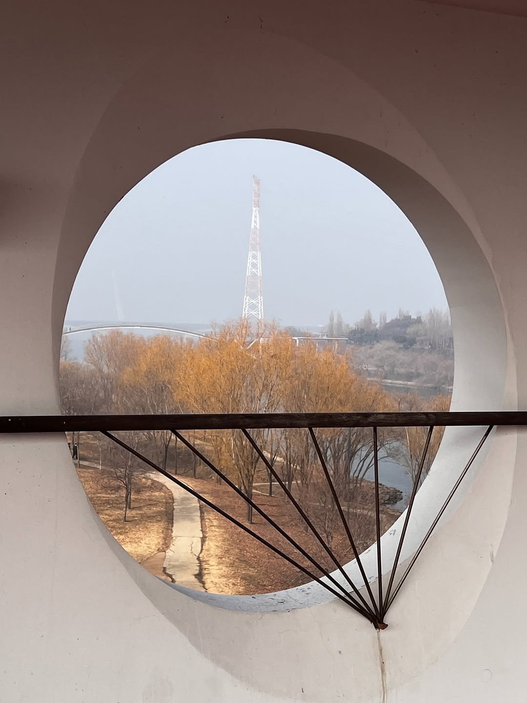 Photo by sookoh 수코 on January 19, 2026.