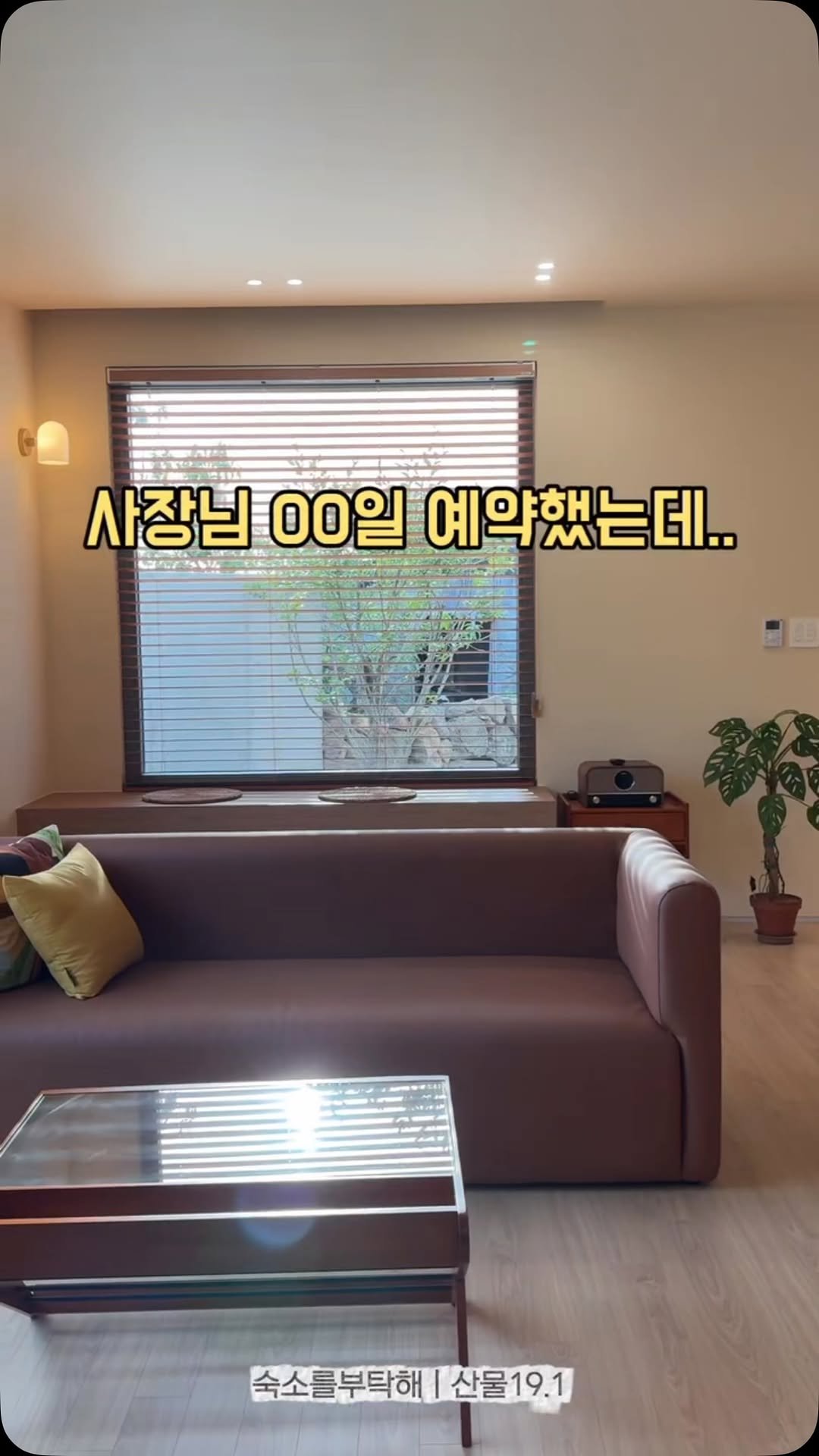 sookso_please 게시물 이미지: 예약한 손님께서 전화를 주셨는데

강아지를 데리고 가도 되는지를 여쭈어보시는...