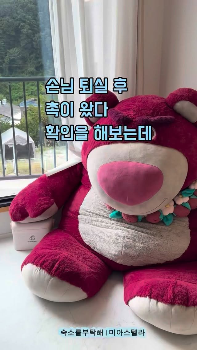 sookso_please 게시물 이미지: 어느날 손님 퇴실 후 촉이 빡 왔어요

이쯤 되면 구급상자 약들이 떨어졌을 거...