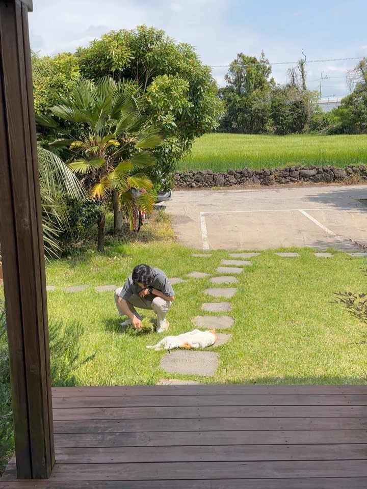 soongu_salgu 게시물 이미지: 자연을 곁에 두는 삶은 일하는 날도, 쉬는 날도, 하루의 질이 날씨에 따라 크게...