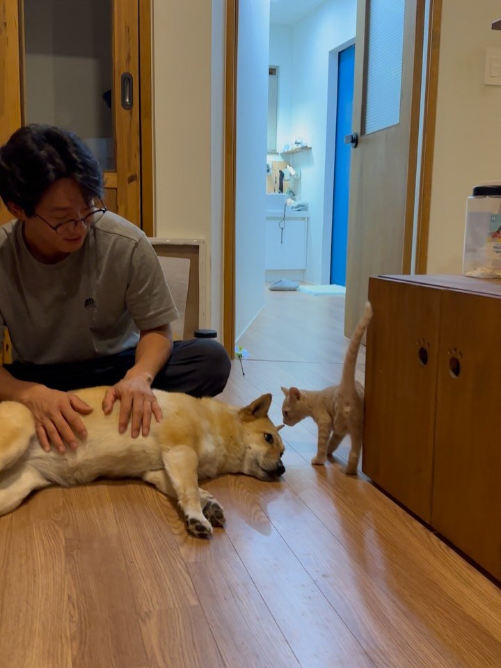 soongu_salgu 게시물 이미지: 길냥이 케어담당 방구 여왕님은 역시🫶🏻 지구도 세 번째 만남에 하악질을 멈췄다....