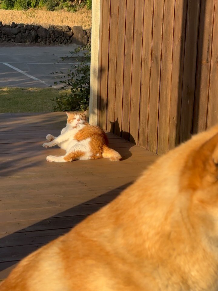 soongu_salgu 게시물 이미지: 누군가의 방어회 포스팅을 보고 당연히 옛날 사진인줄 알았는데 벌써 11월이더라,...