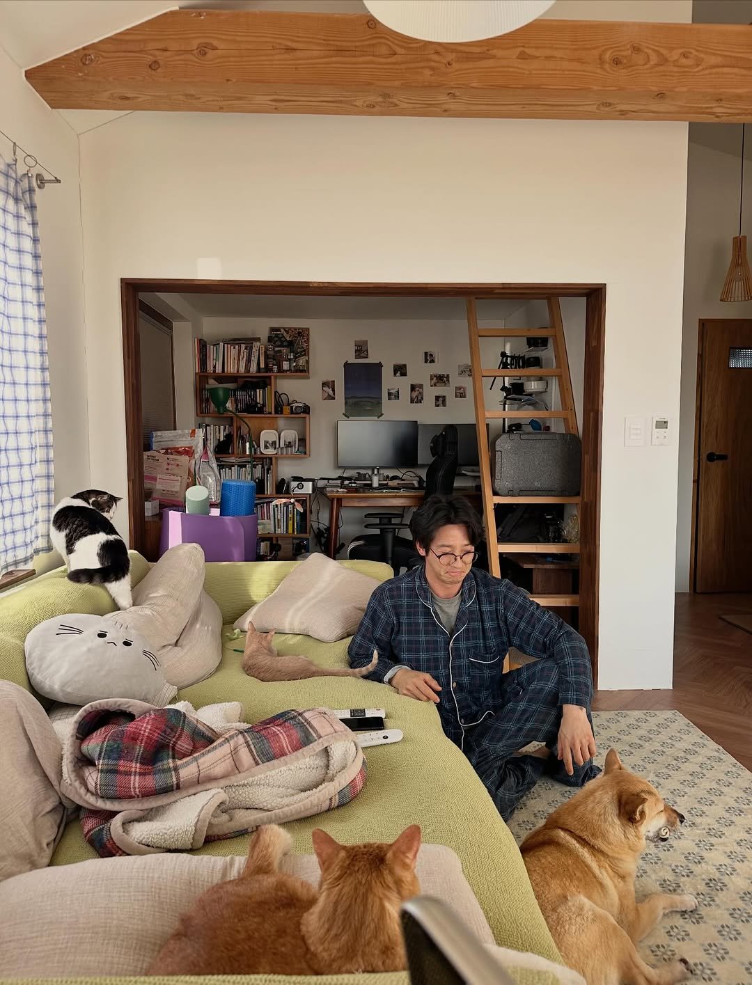 Photo by 순살탱방지 on January 17, 2026. May be an image of Abyssinian cat, Norwich terrier, kitten, beanbag chair, futon, living room and text.