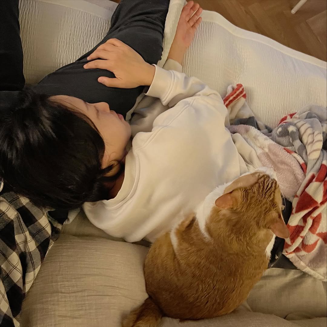 Photo by 순살탱방 on November 01, 2025. May be an image of sleeping, Abyssinian cat, kitten and text.