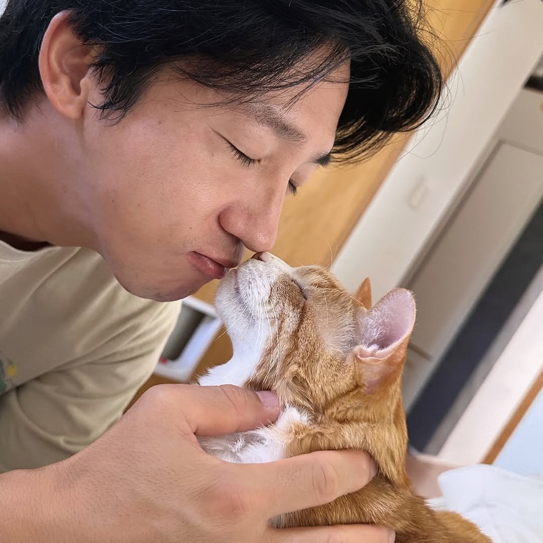 Photo shared by 순살탱방 on September 11, 2025 tagging @sanbanggoooo. May be an image of 1 person, people kissing, Abyssinian cat, kitten and text.