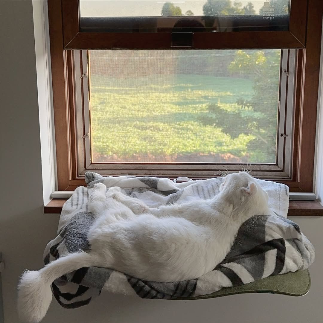 Photo by 순살탱방 on September 10, 2024.