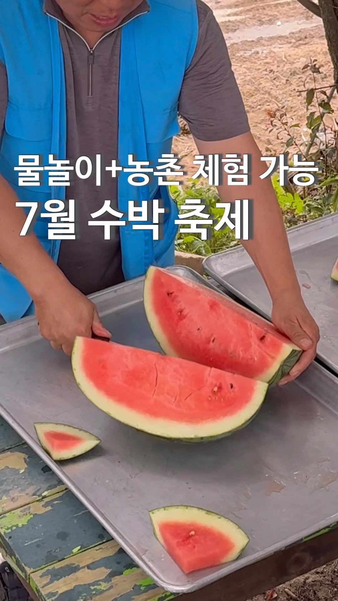 sophia_as.me 게시물 이미지: 냇가 물놀이+농촌 체험 모두 가능한 수박 축제🍉

7월 양평 수박 축제 기간을...