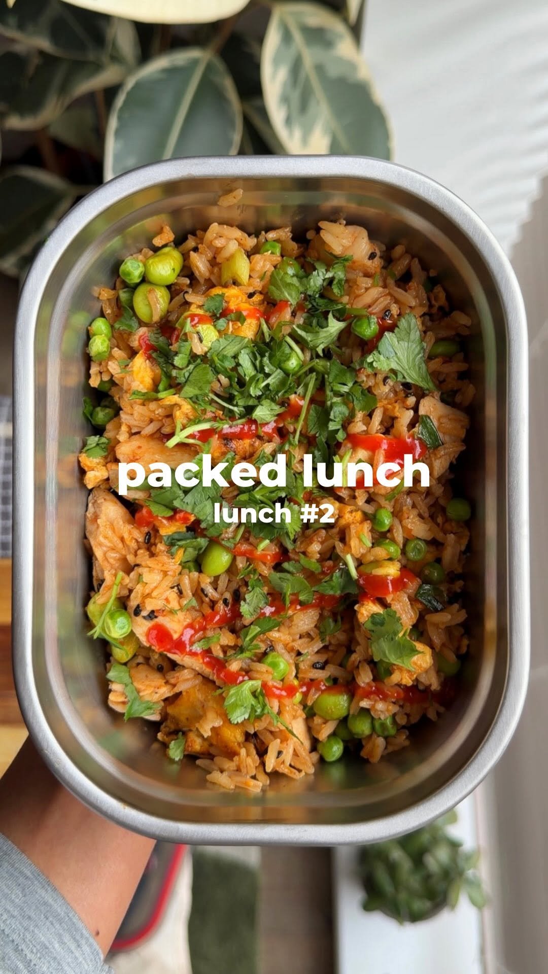 sophiethenutritionist 게시물 이미지: #2 PACKED LUNCH: gochujang chicken fried...