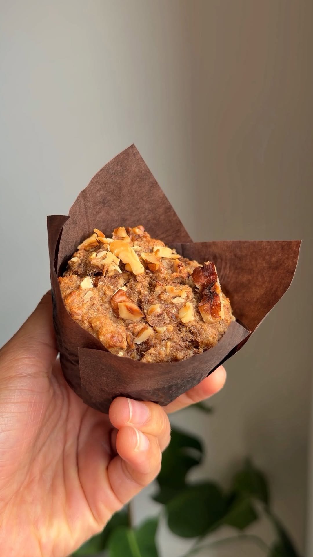 sophiethenutritionist 게시물 이미지: choc chip walnut banana muffins

7g protein &...