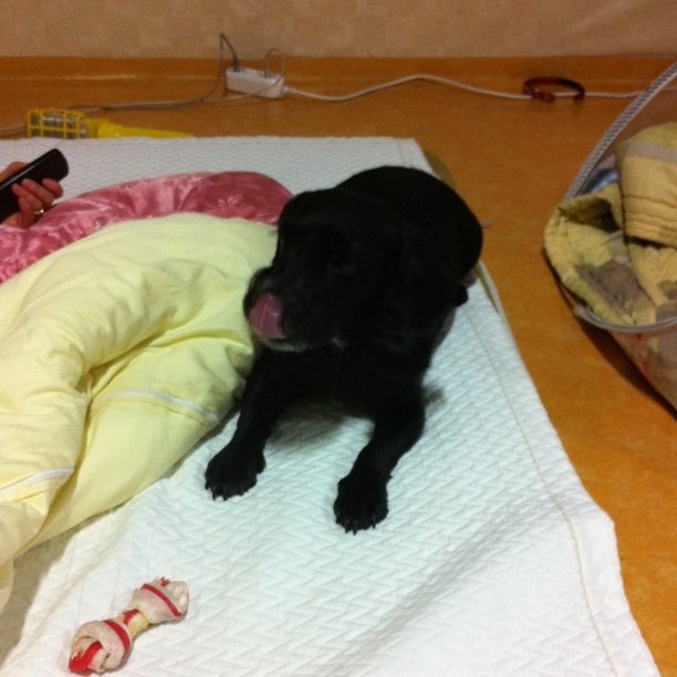 Photo by Sori Yun on October 27, 2010.