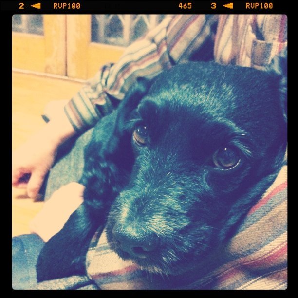 Photo by Sori Yun on October 19, 2010.