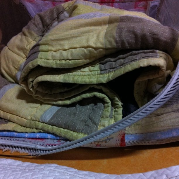 Photo by Sori Yun on November 05, 2010.