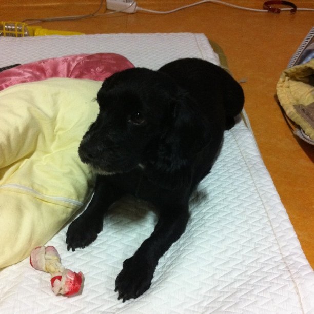 Photo by Sori Yun on October 27, 2010.