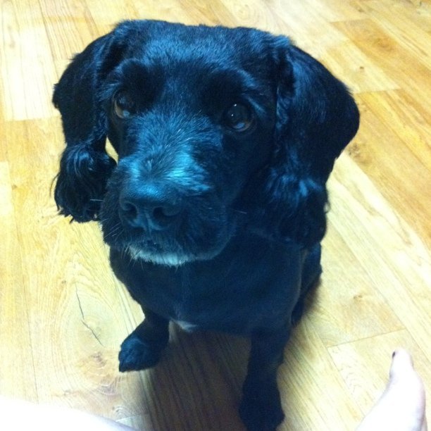 Photo by Sori Yun on October 19, 2010.